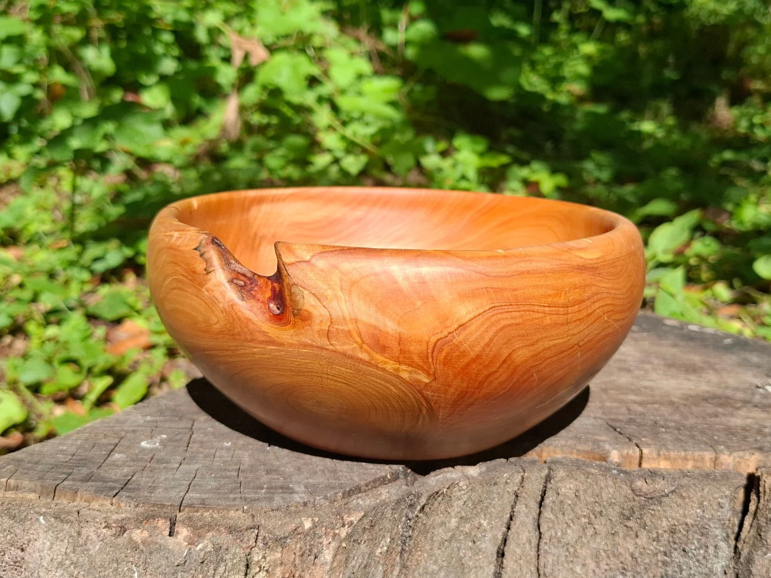A polished wooden bowl with natural wood grain patterns and a small knot, sitting on a weathered tree stump outdoors with green foliage in the background.