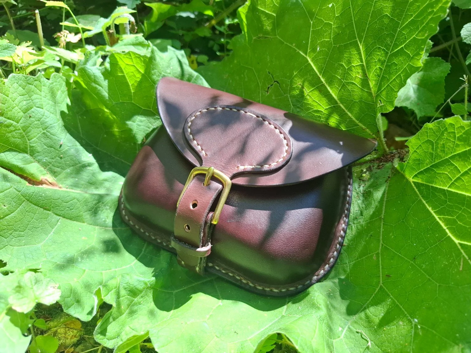 A brown leather belt pouch with a brass buckle sits on large green leaves in sunlight.