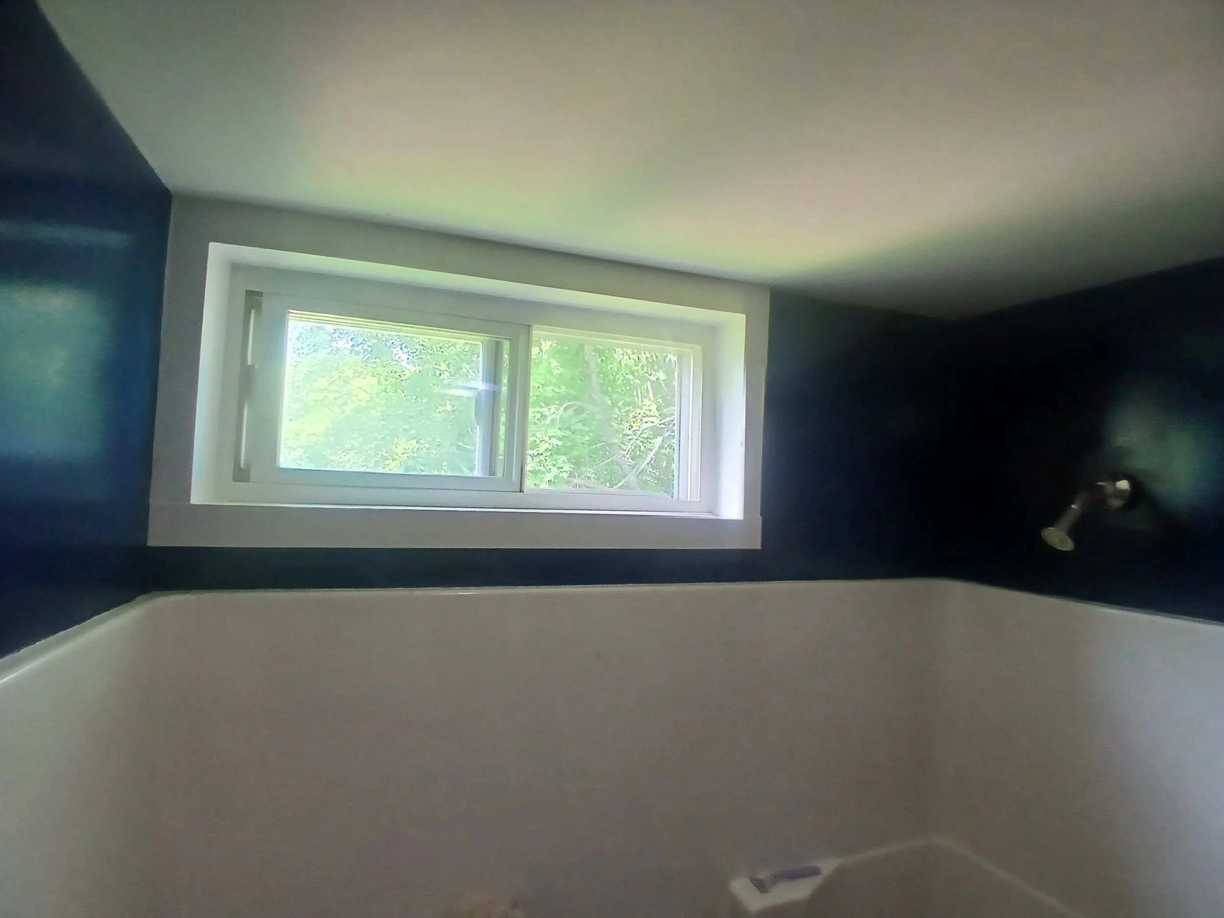 A room with white walls, dark blue accent wall, and a large window showing green trees outside.