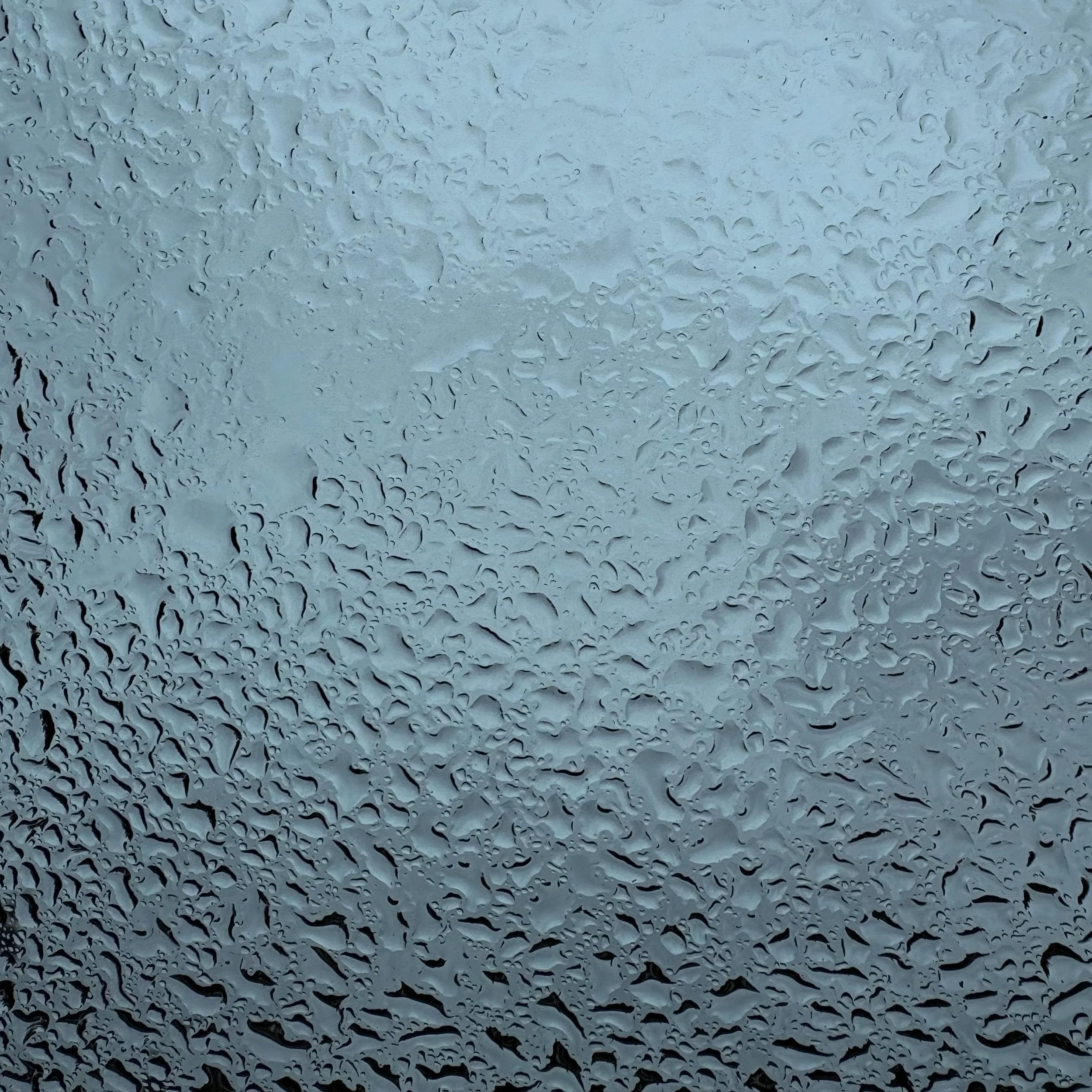 Windscreen