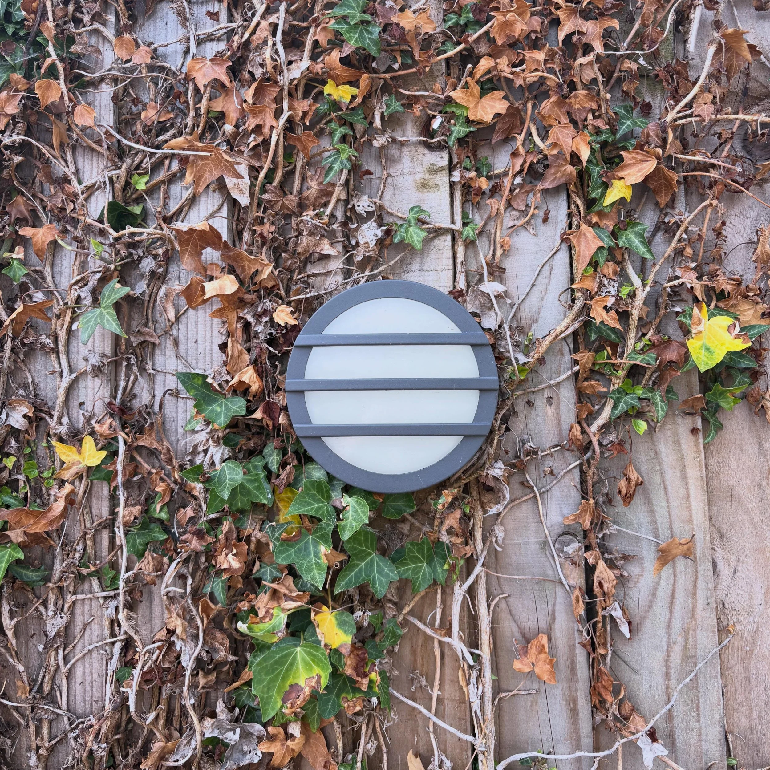 Outdoor light