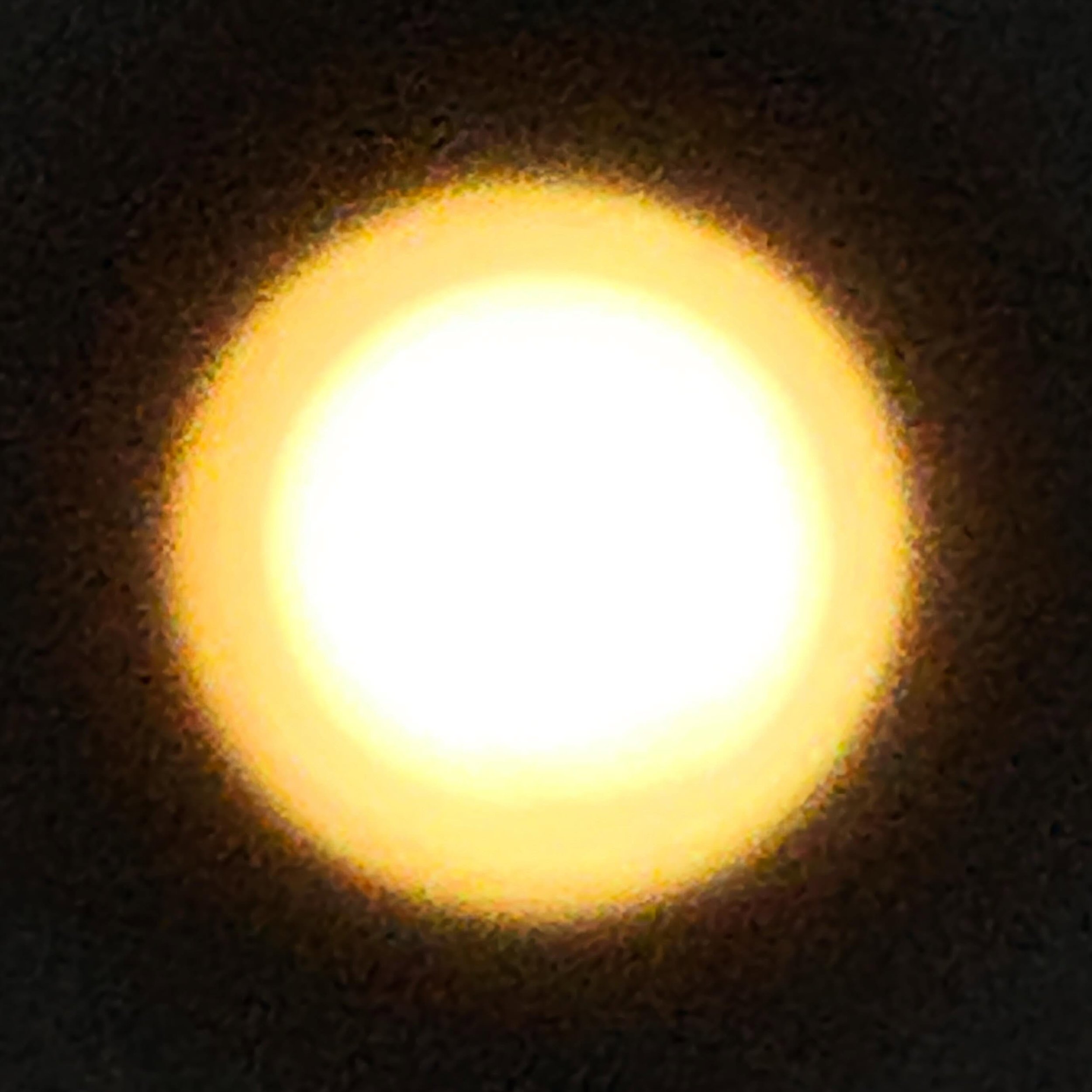 Spotlight