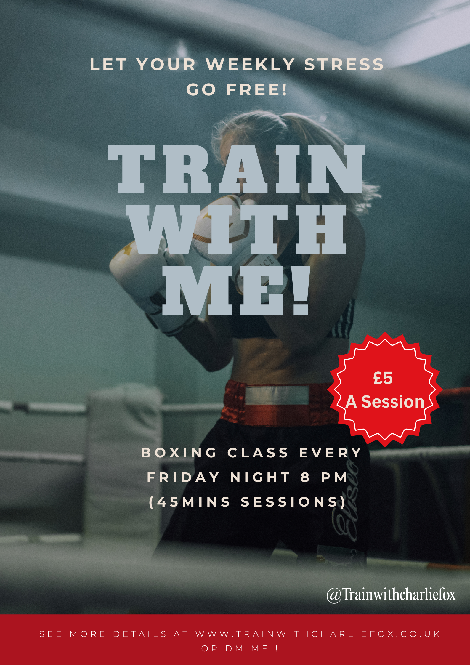 Red and Black Illustrated Gloves Boxing Poster.png