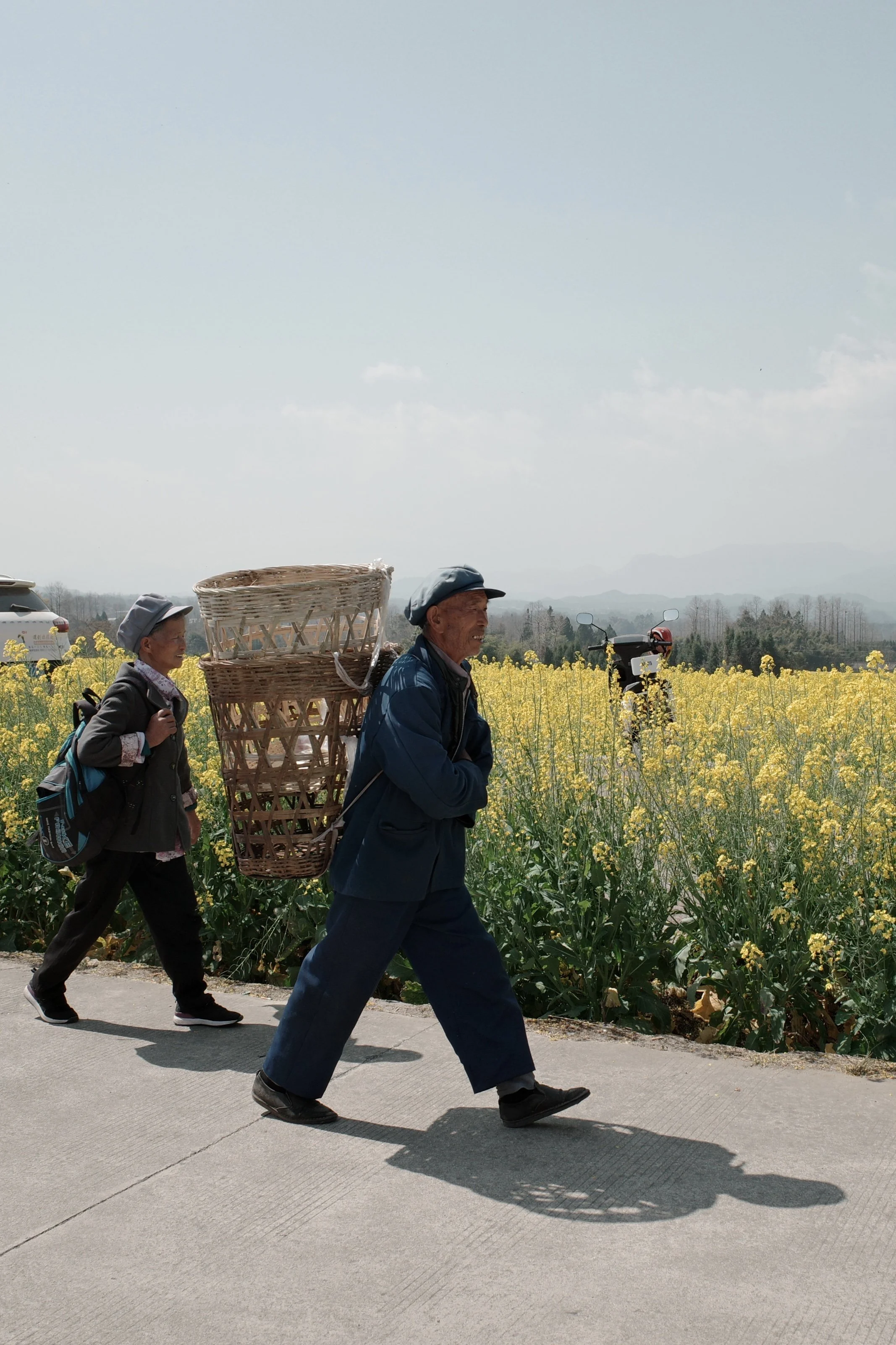 YUNAN FARMER ALONGSIDE RAPESEED FIELD IN SPRING