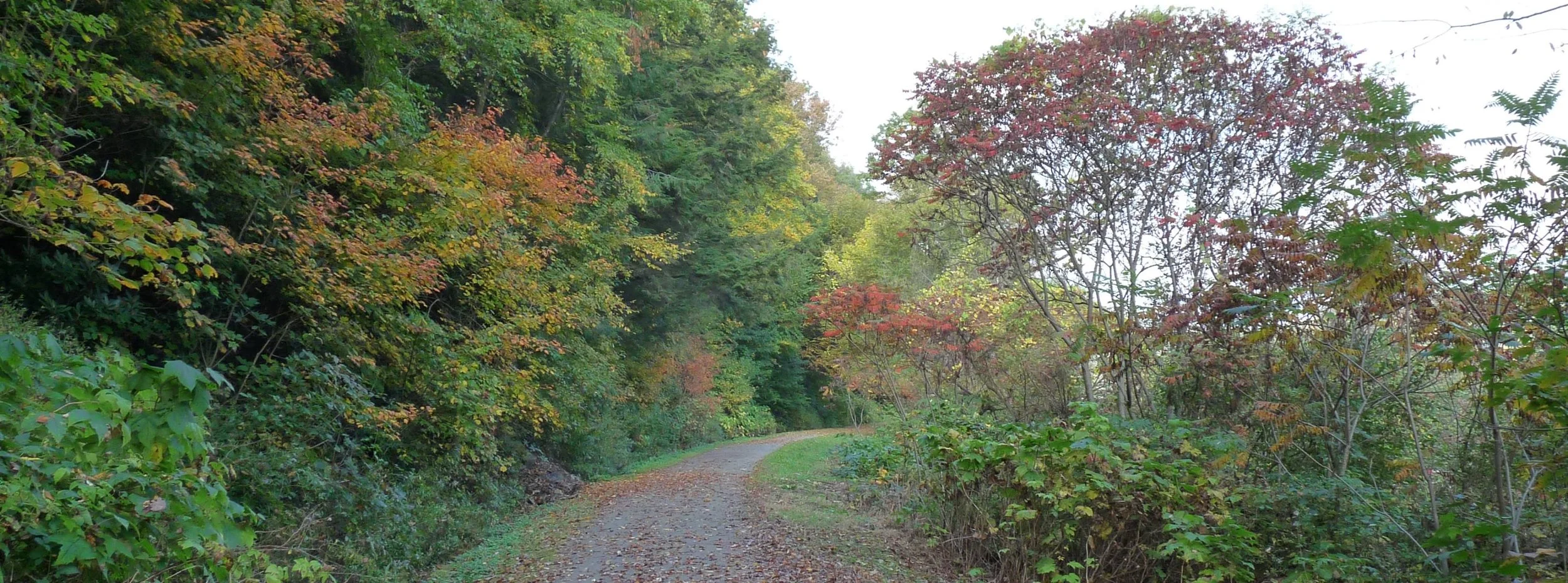 Trail Connectivity Initiatives