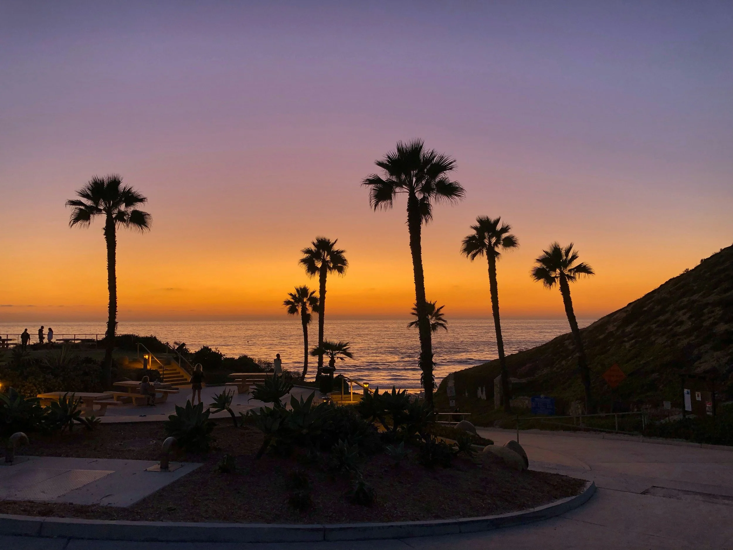 Sunset over the ocean with orange and purple sky, silhouettes of palm trees, and a coastal park area with people walking and sitting.