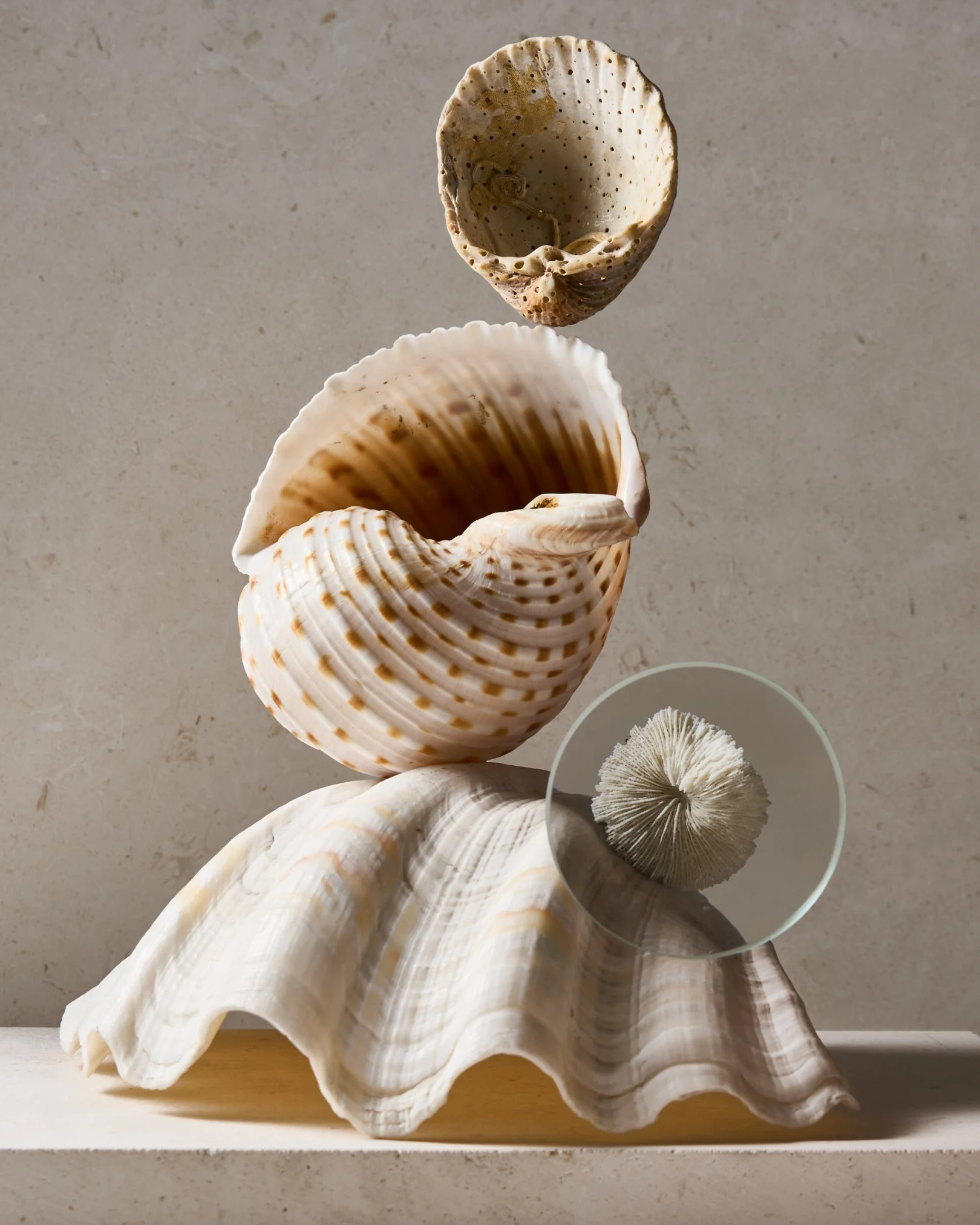 TEXTURED-STONE-5.jpg