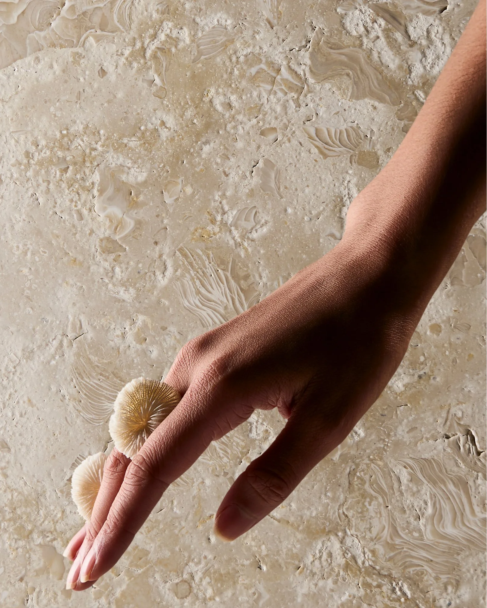 TEXTURED-STONE-2.jpg