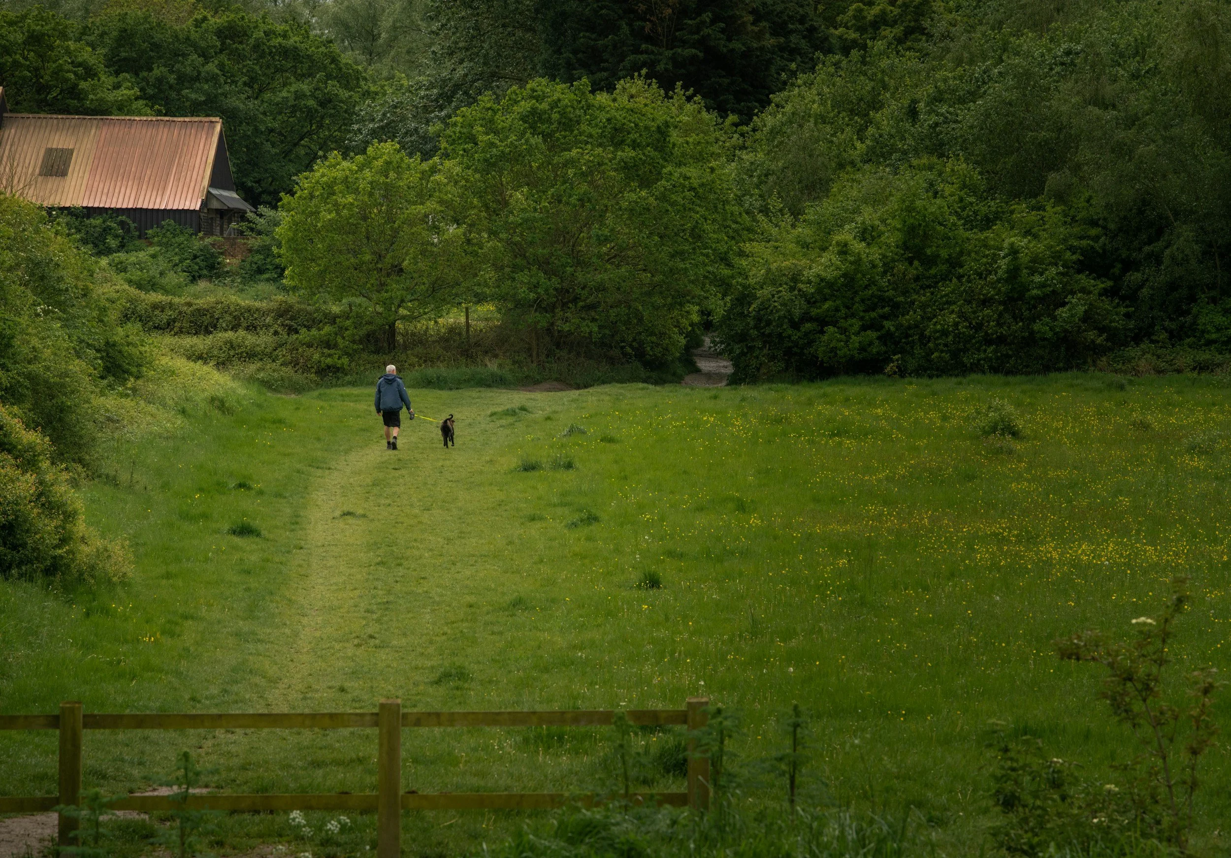 From the Shelter to Your Sofa: Why I’m Launching Caring About Paws