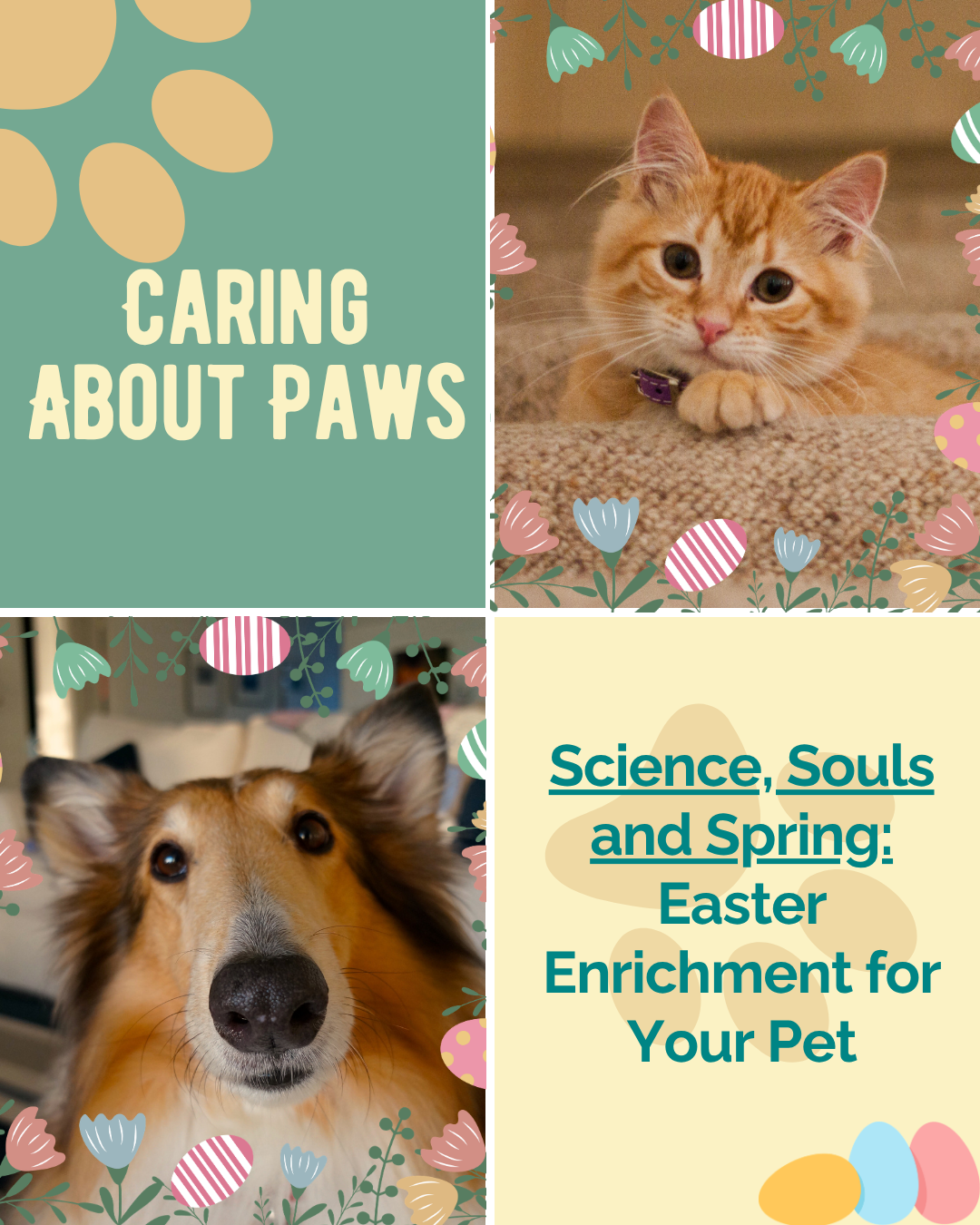 Science, Souls and Spring: Easter Enrichment for Your Pet
