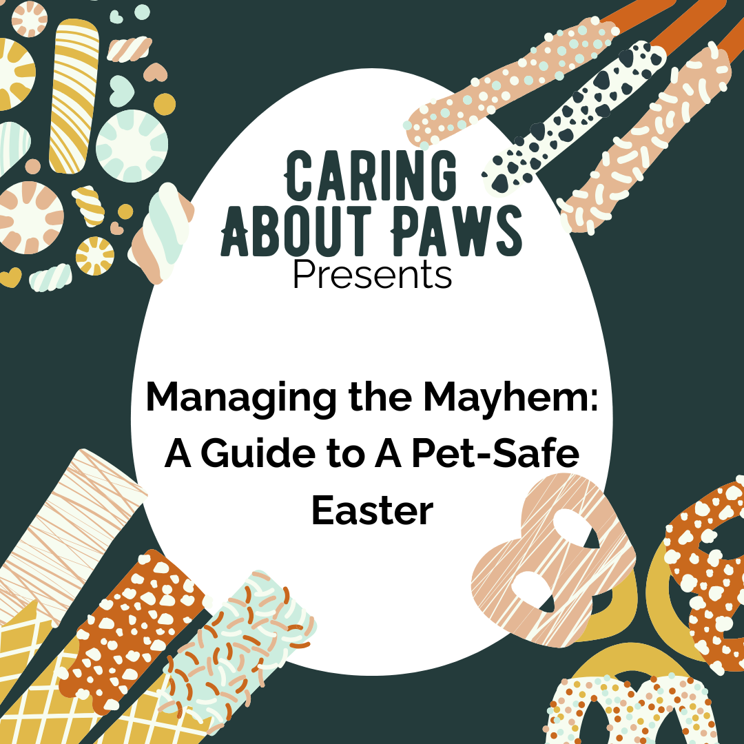 Managing the Mayhem: A Guide to A Pet-Safe Easter