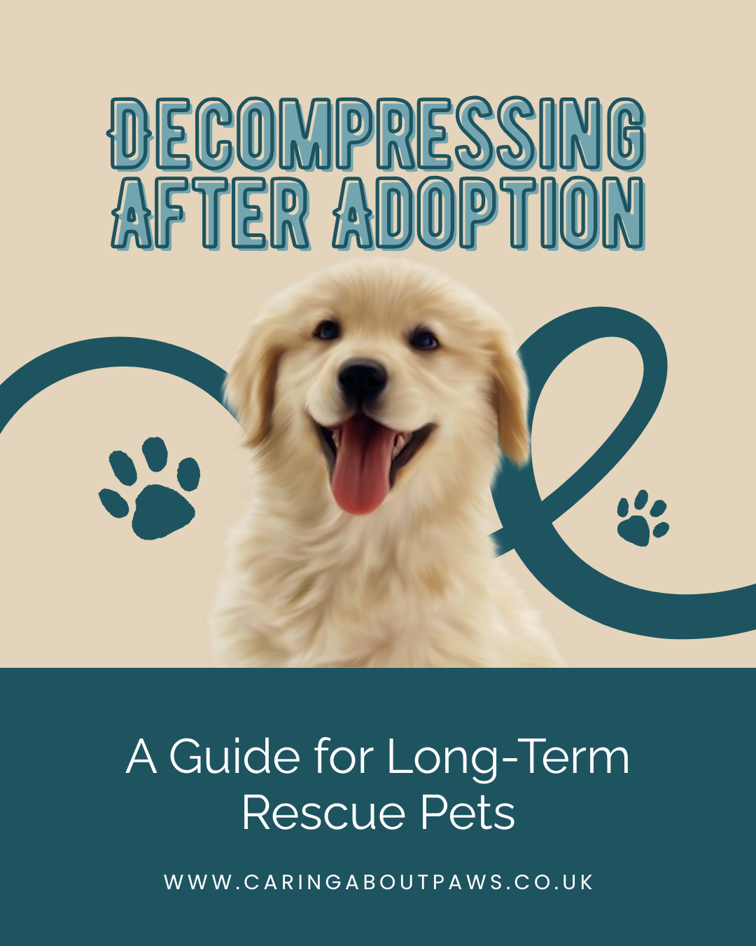 Decompressing After Adoption: A Guide for Long-Term Rescue Pets
