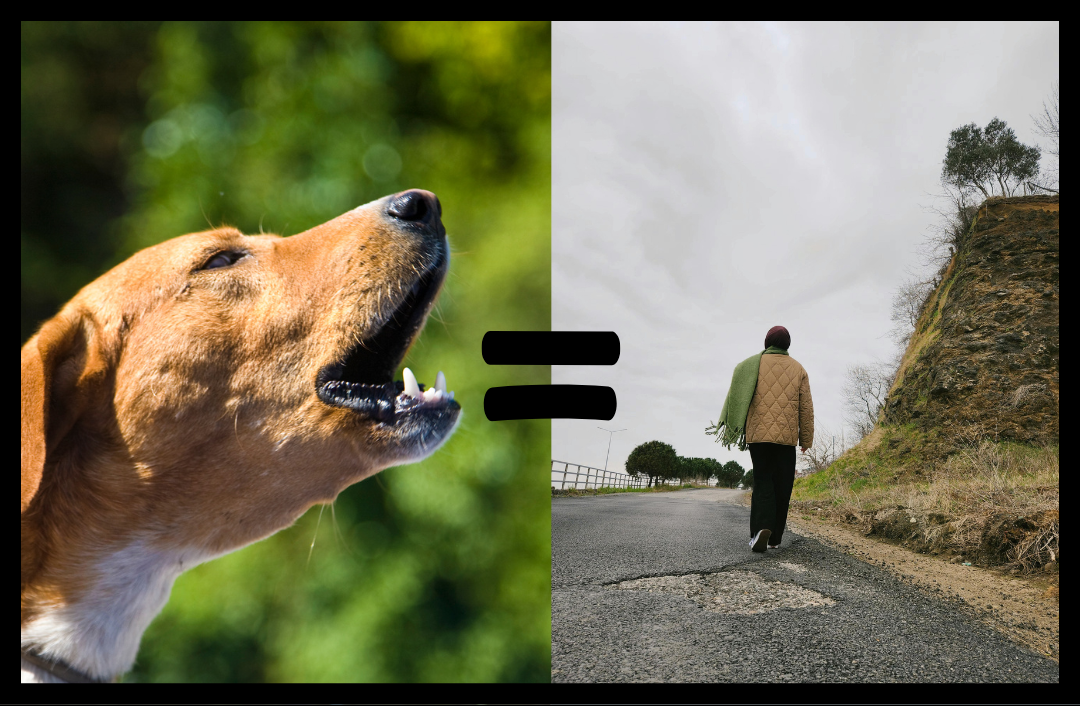 The why behind a dog bark and how to fix it