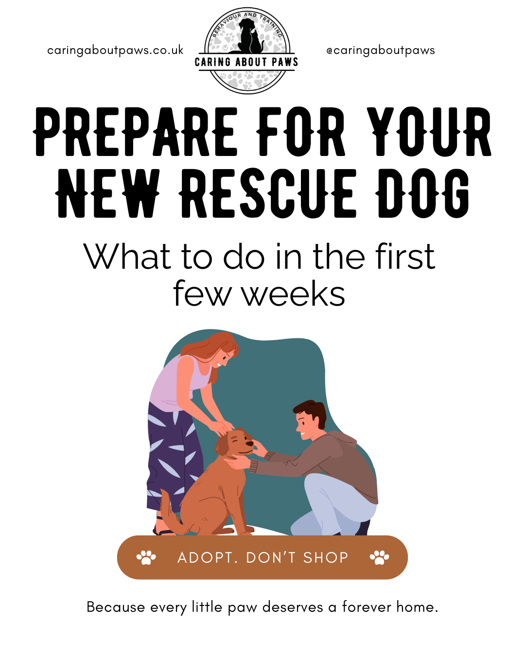 How to Prepare for a New Rescue Dog’s First Weeks