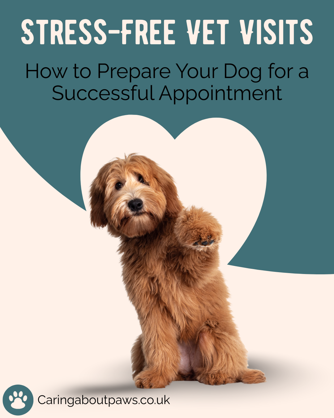 Stress-Free Vet Visits: How to Prepare Your Dog for a Successful Appointment