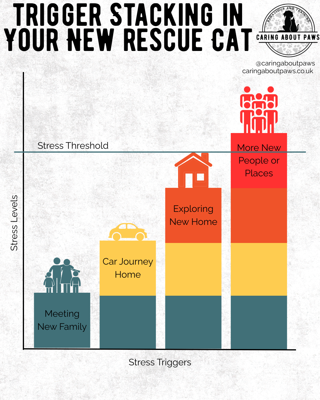 Rescue cat trigger stacking stress graph and behaviour explanation