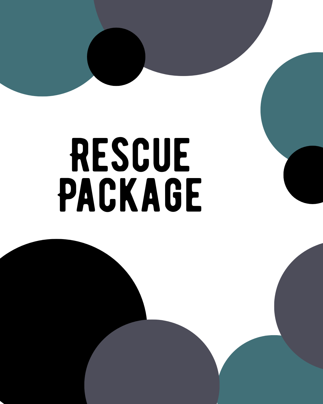 From Shelter to Sofa: A Supported Transition