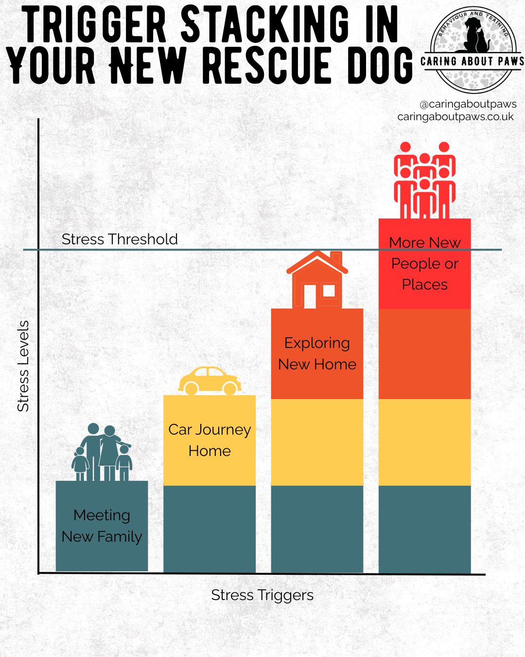 Rescue dog trigger stacking stress graph and behaviour explanation