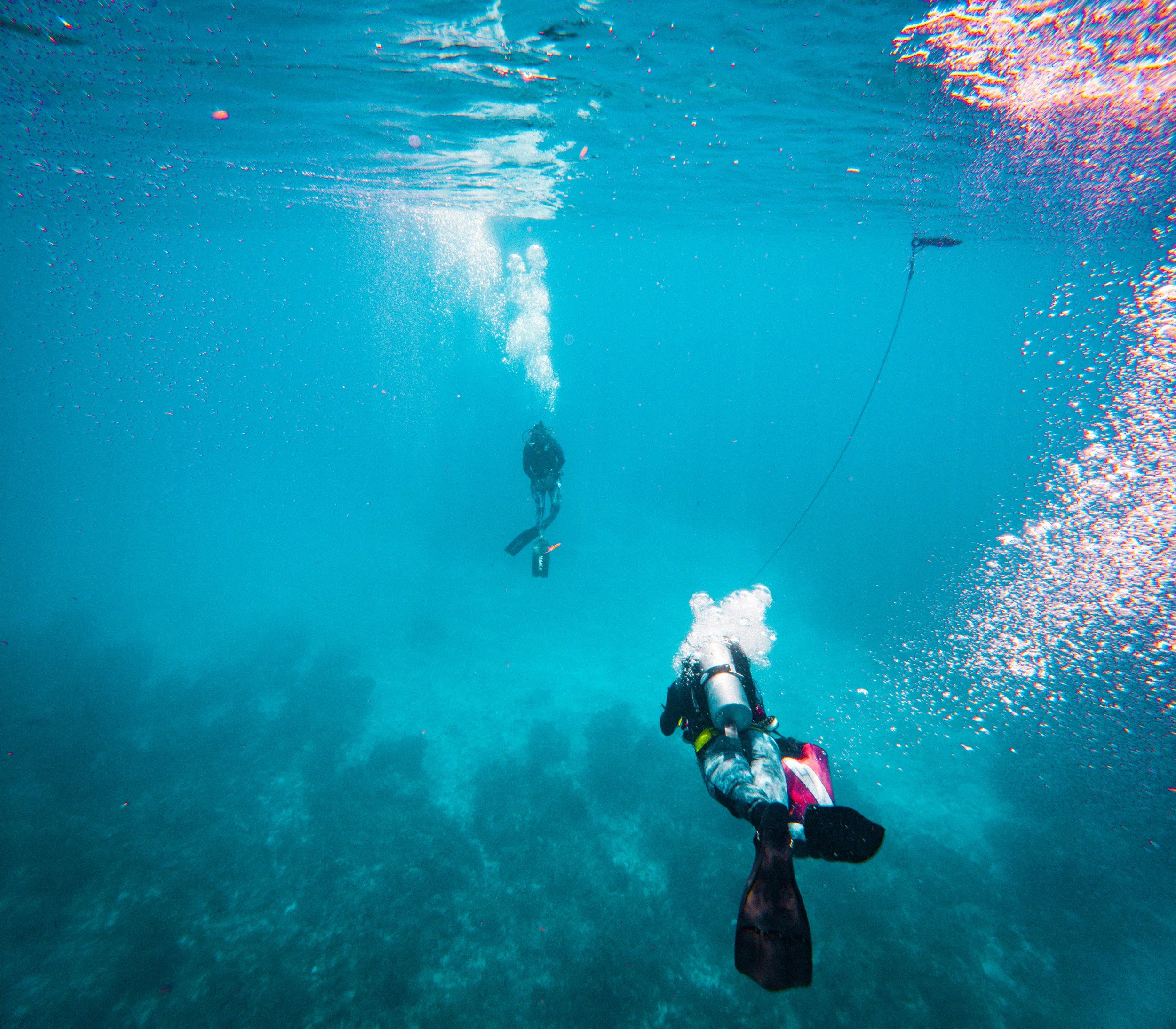 Leah Chomiak, 29, a postdoctoral researcher and physical oceanographer, left, and Zach Barton, 36, a technician and engineer, dive toward the seafloor to recover an instrument during the research mission.