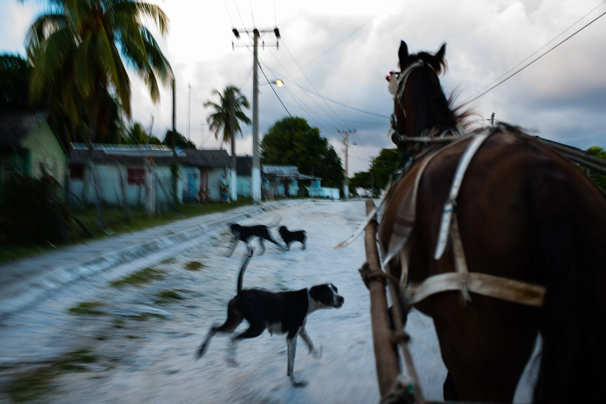 CubaEDIT12Pix07 copy.JPG