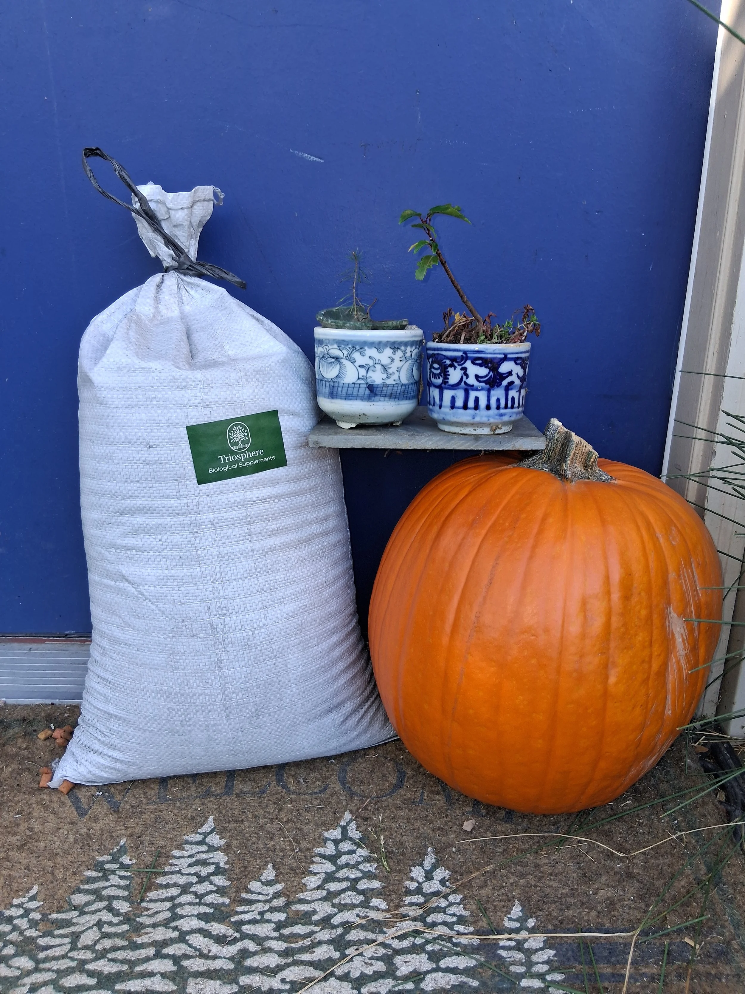 40 lb bag of Triosphere soil supplement next to potted plants and a pumpkin
