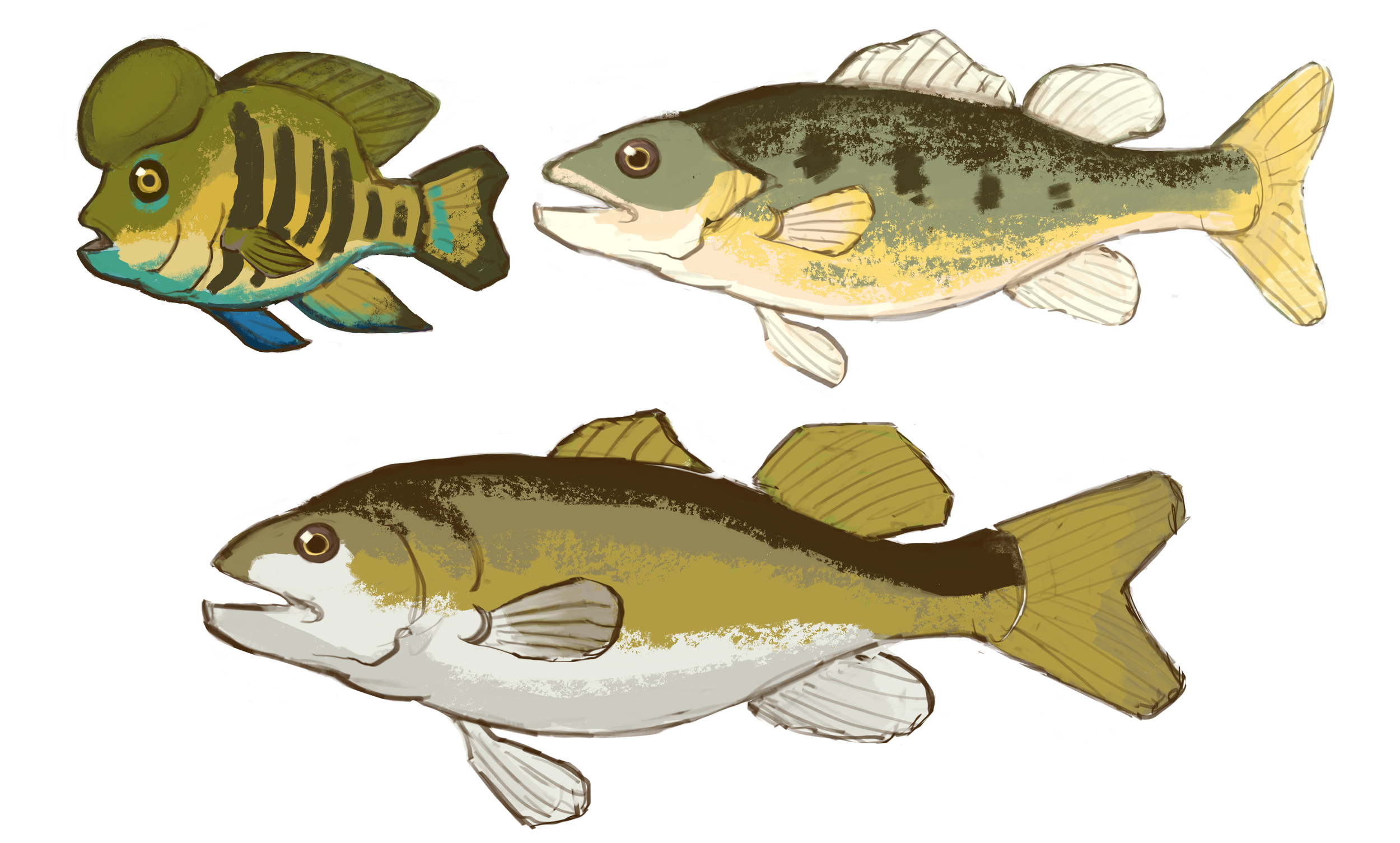 Fish_Page_01.png