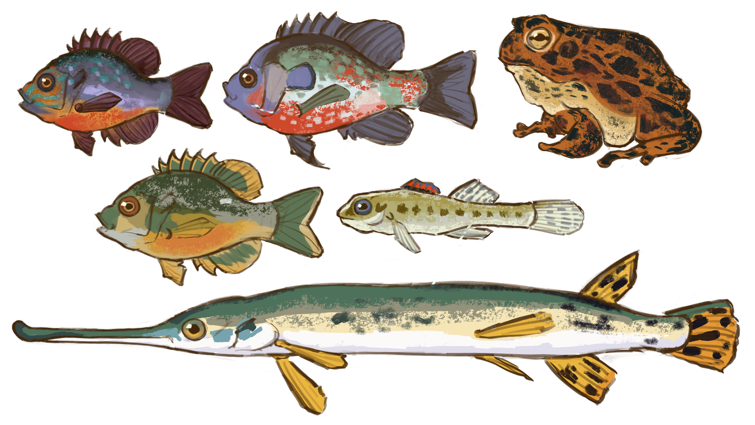 Fish_Page_02.png