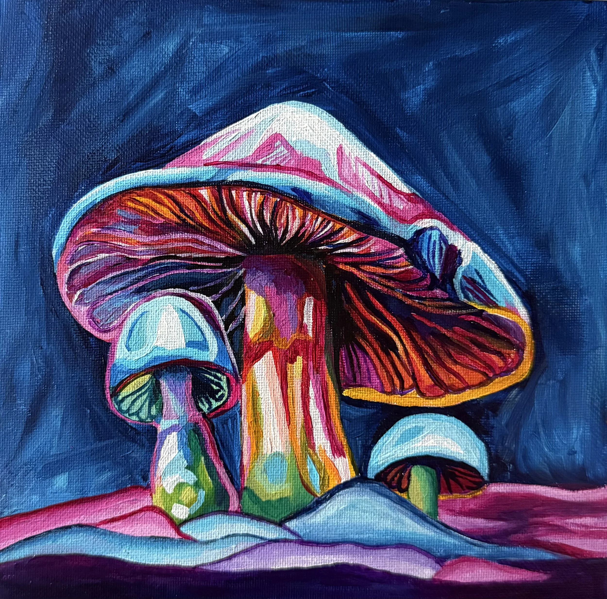 Nocturnal Colors PRINT