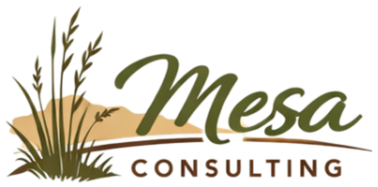 Mesa Consulting
