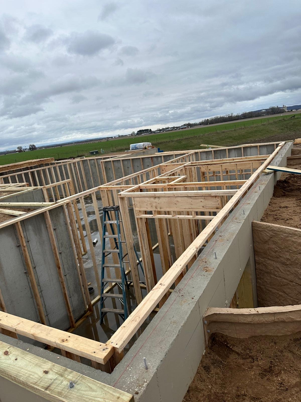 WhatsApp Image 2026-04-05 at 11.07.27 AM (4).jpeg