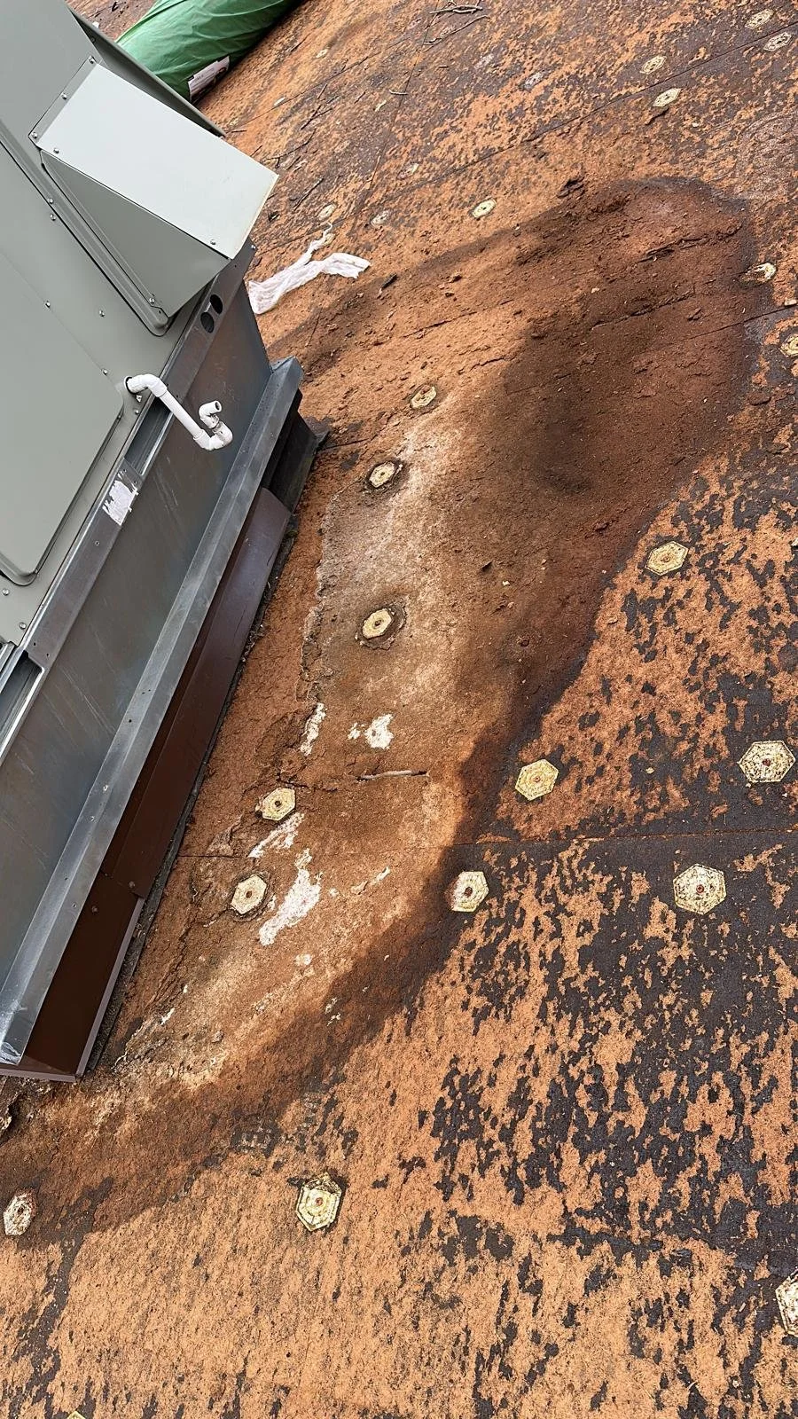 WhatsApp Image 2026-04-15 at 4.49.11 PM.jpeg