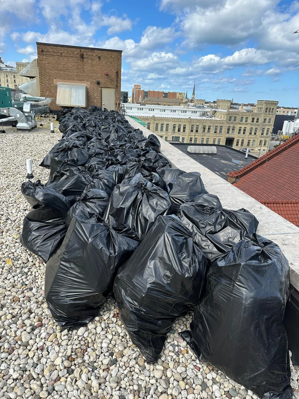 WhatsApp Image 2026-04-15 at 4.47.01 PM.jpeg