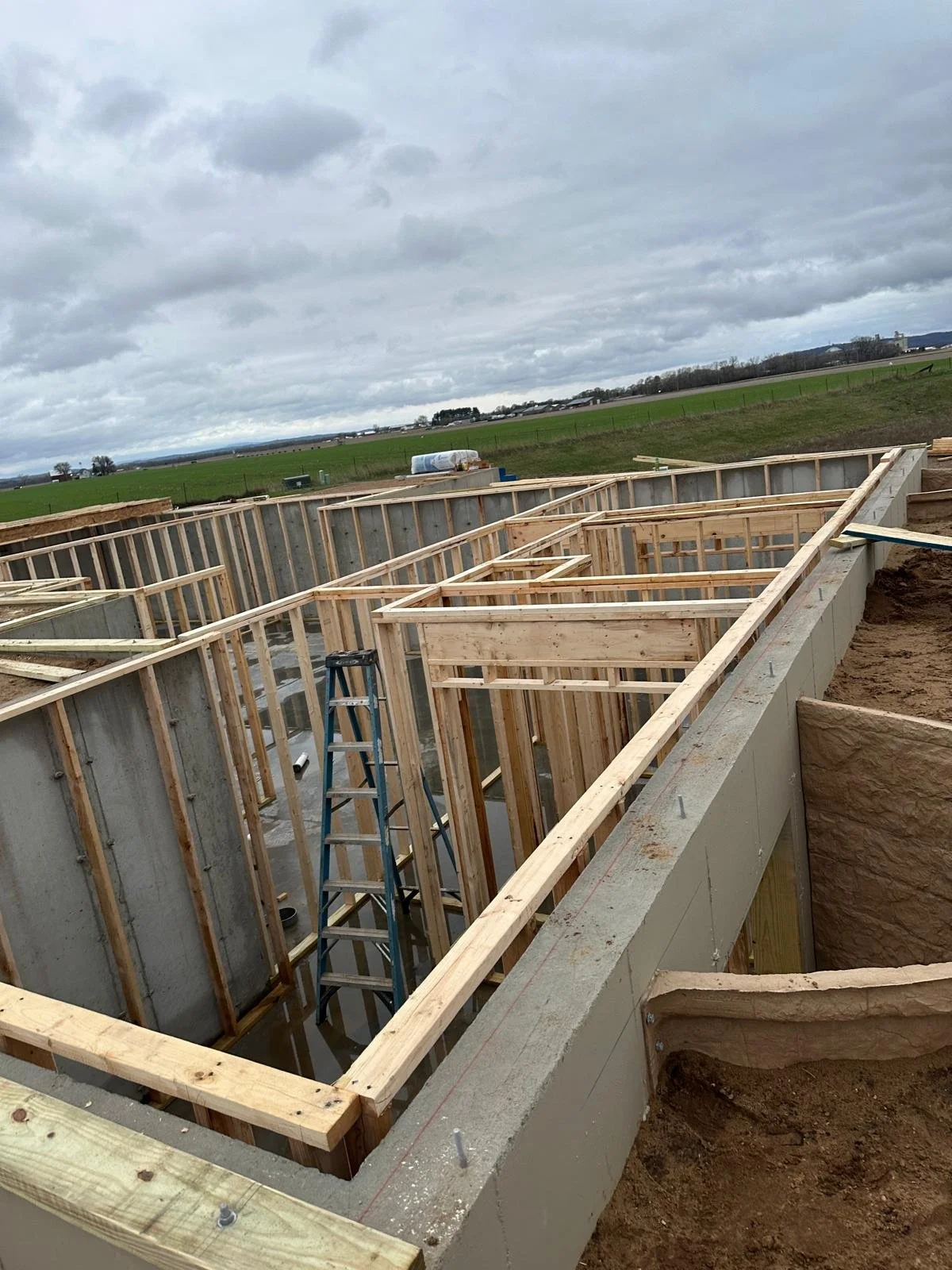 WhatsApp Image 2026-04-05 at 11.07.27 AM (4).jpeg