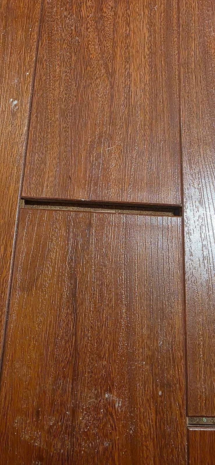 WhatsApp Image 2026-04-15 at 6.30.52 PM.jpeg