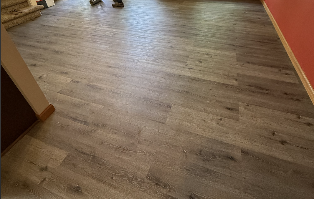 Floor Replace - Belleville