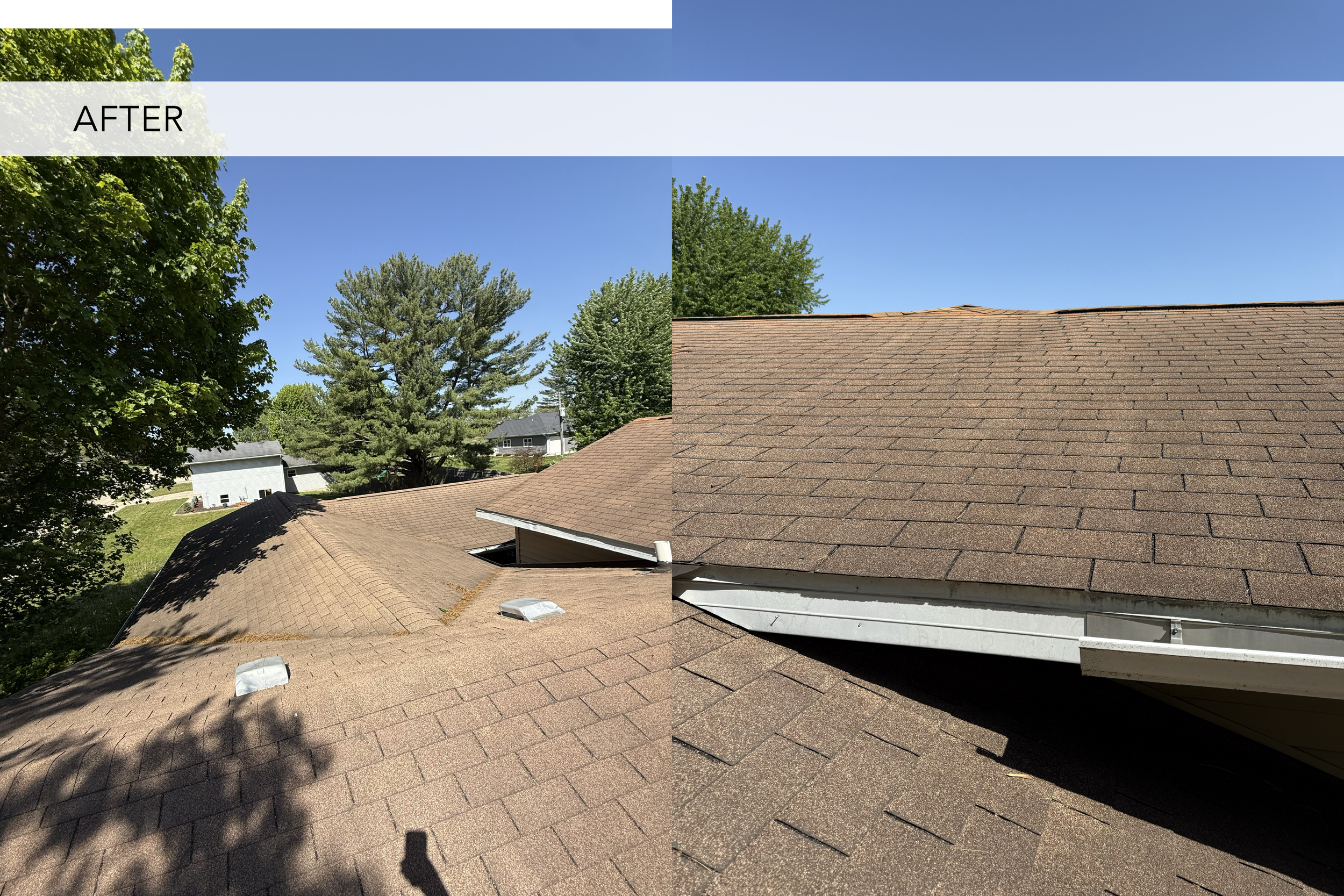 BEFORE AFTER-06.png
