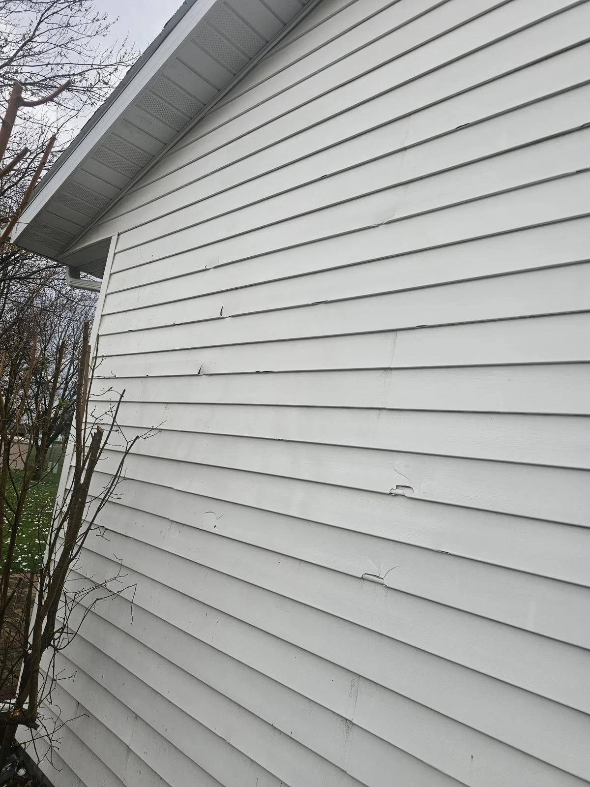 WhatsApp Image 2026-04-15 at 5.03.44 PM.jpeg