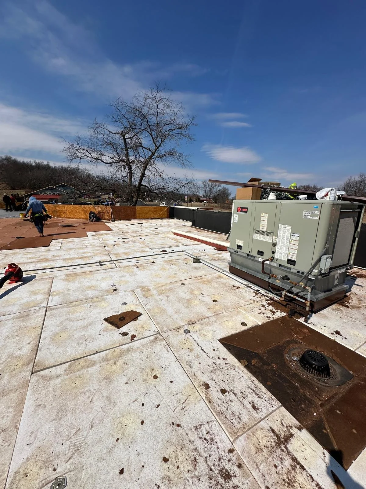 WhatsApp Image 2026-04-15 at 4.49.13 PM.jpeg