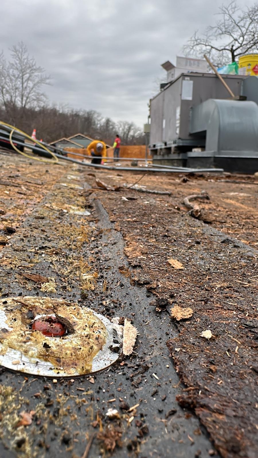 WhatsApp Image 2026-04-15 at 4.49.12 PM.jpeg