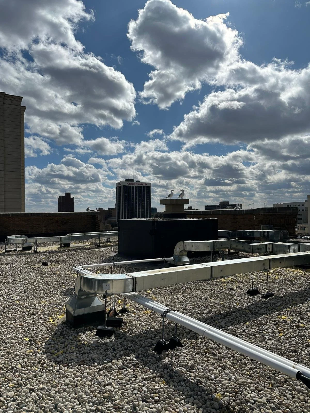 WhatsApp Image 2026-04-15 at 4.46.59 PM.jpeg