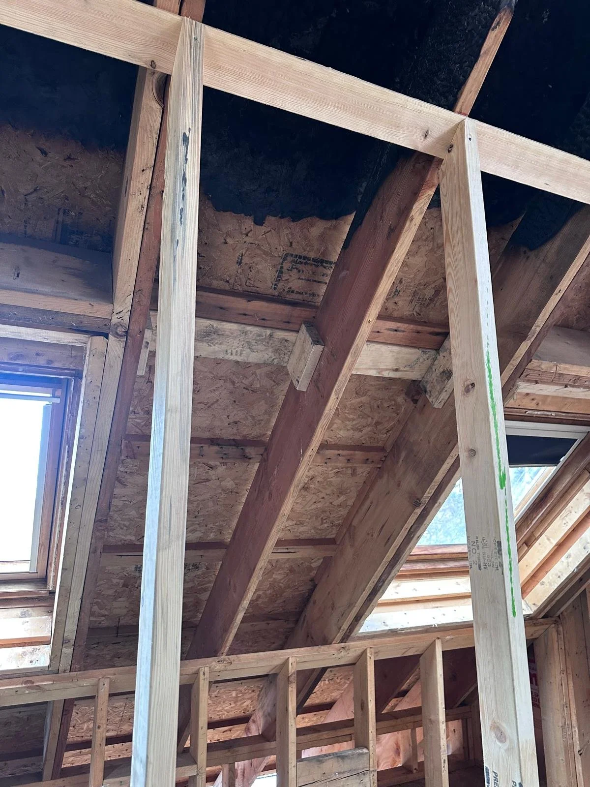 WhatsApp Image 2026-04-03 at 9.08.00 AM (4).jpeg