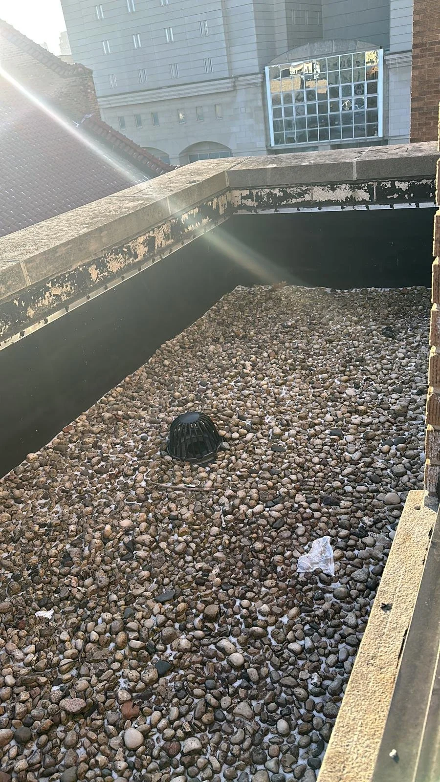 WhatsApp Image 2026-04-15 at 4.18.05 PM (12).jpeg