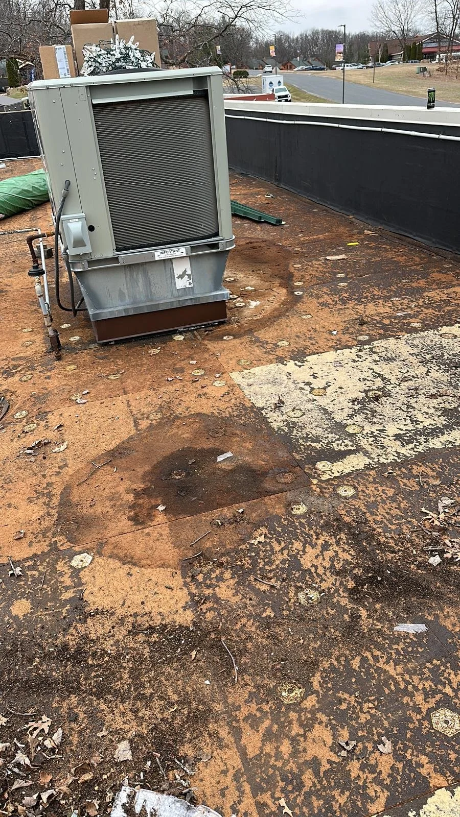 WhatsApp Image 2026-04-15 at 4.49.03 PM.jpeg