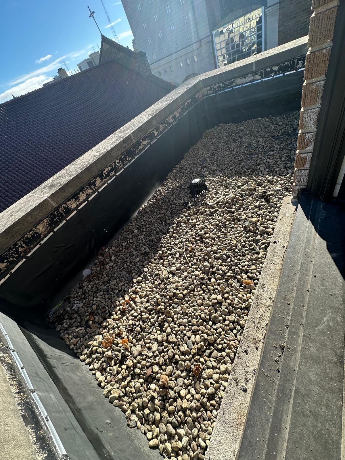 WhatsApp Image 2026-04-15 at 4.18.05 PM.jpeg