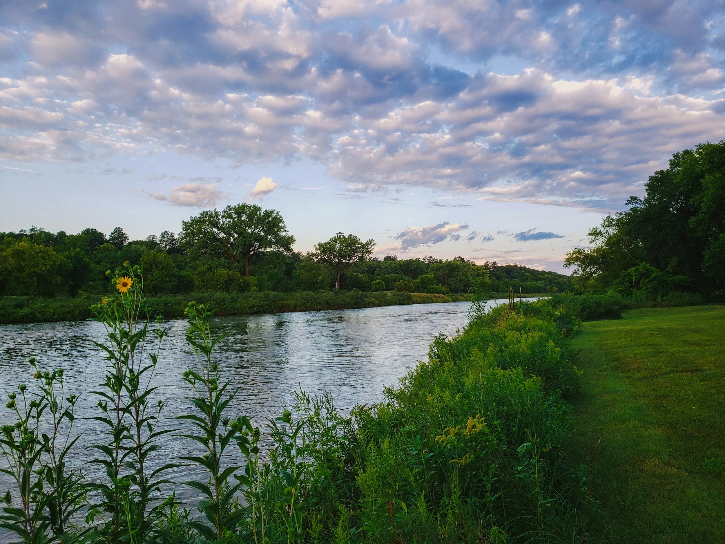 A peaceful river scene during sunset with a grassy bank, lush trees, and a partly cloudy sky.