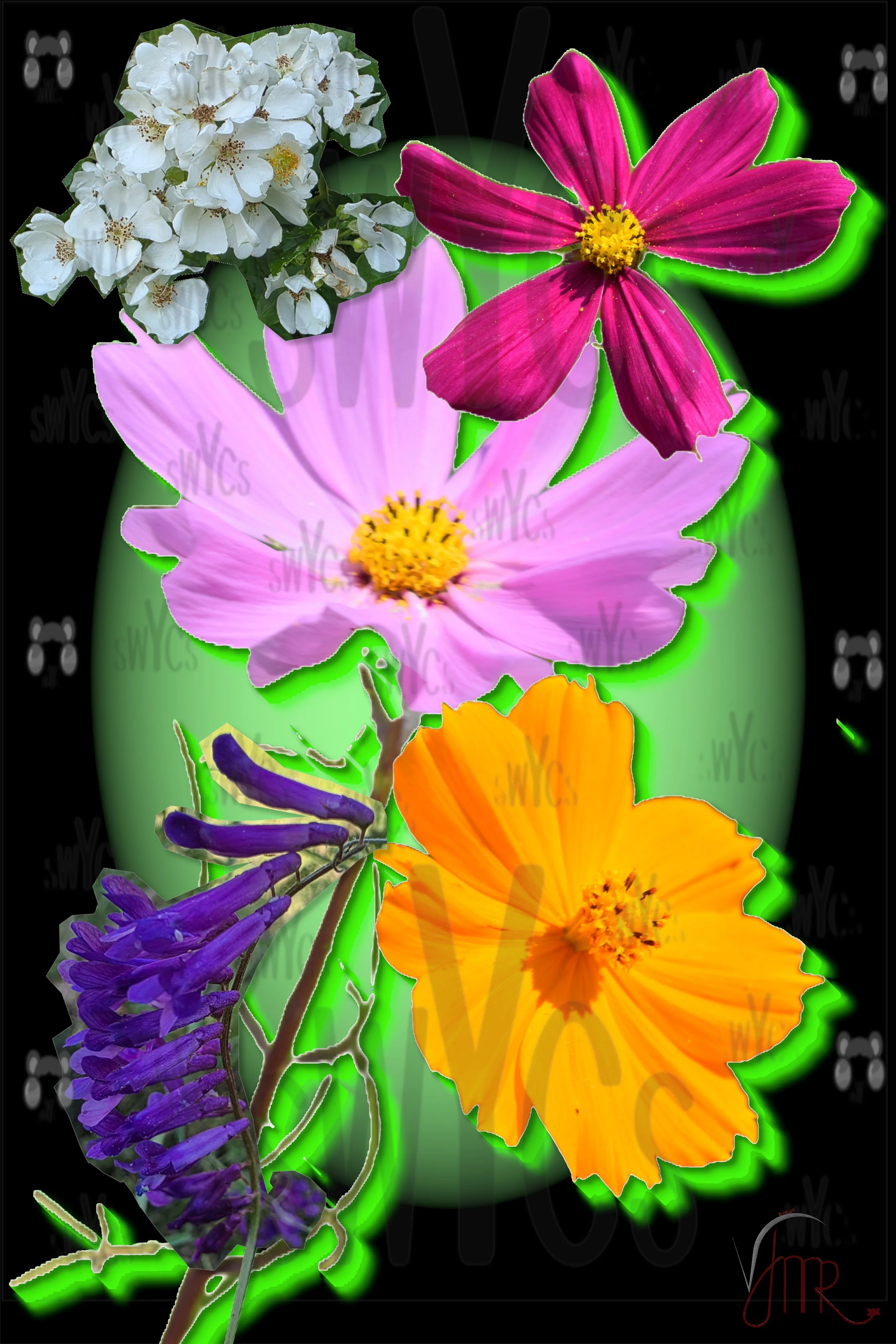 Flower collage 1 watermarks.JPG