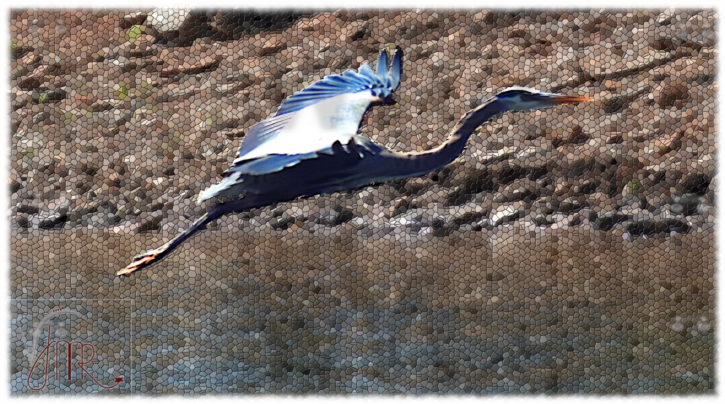 Blue Heron 3