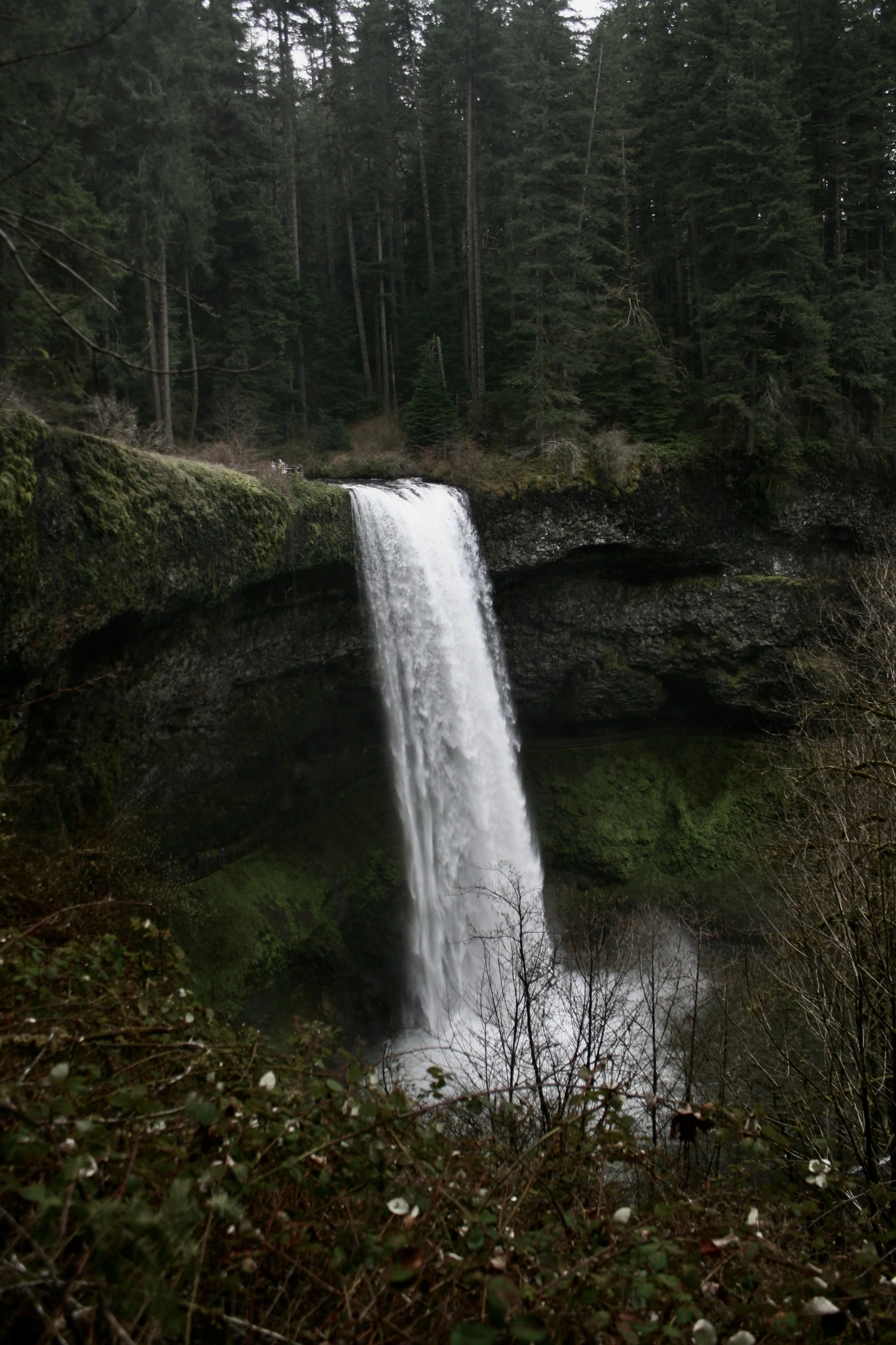 Oregon Water Falls