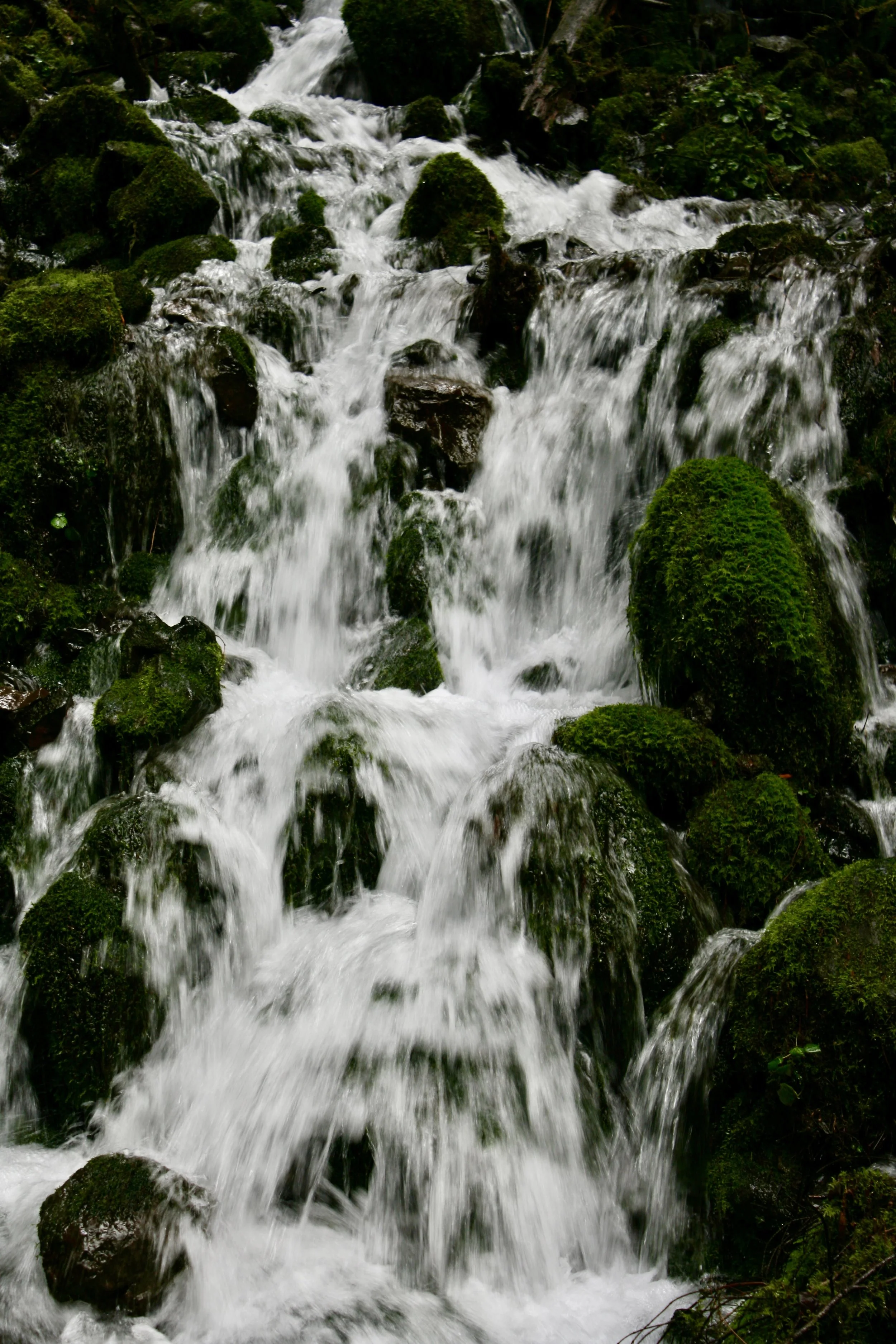 IMG_9400.JPG