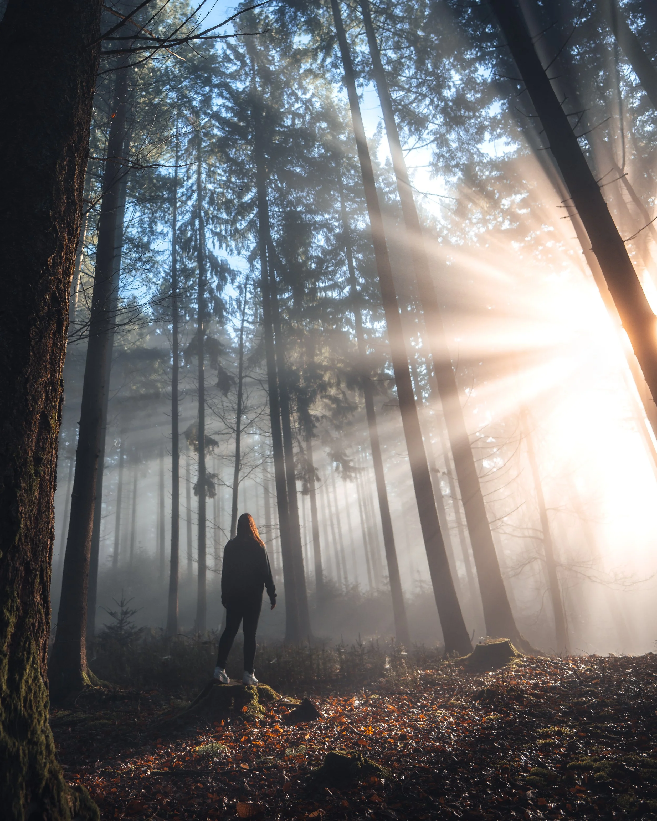 Eine Person steht in einem Wald, durch den Sonnenstrahlen dringen und Nebel ist zu sehen.